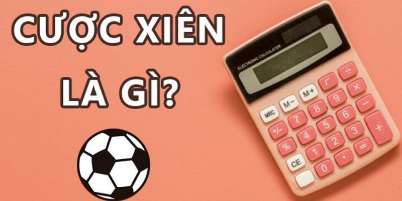 Thông tin tổng quan về cược xiên dành cho tân thủ